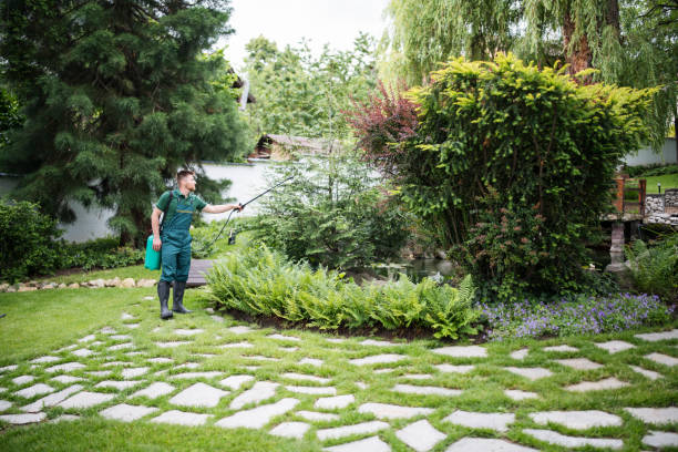 Best Emergency Pest Control  in Thiensville, WI