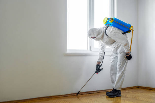 Best Local Pest Control Services  in Thiensville, WI
