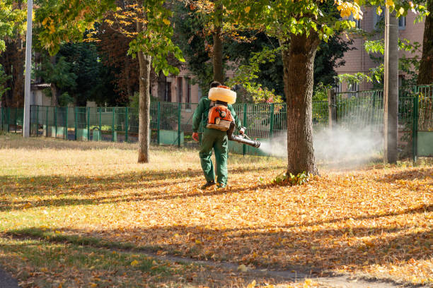 Best Pest Control Treatment  in Thiensville, WI